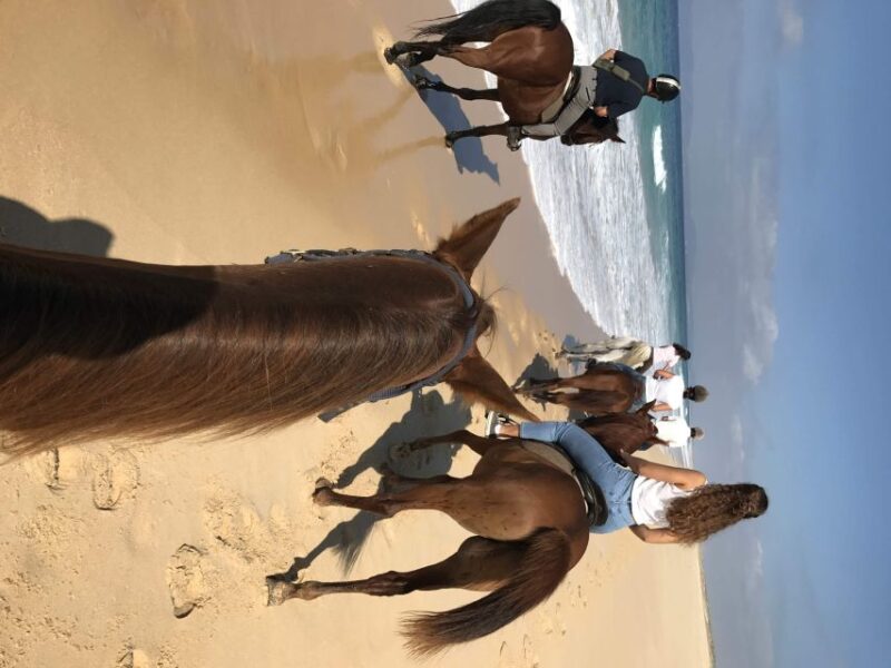 Horse Riding on the Beach With Private Transfer From Lisbon - Itinerary Details
