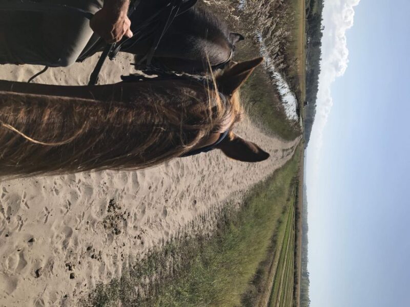 Horse Riding on the Beach With Private Transfer From Lisbon - Inclusions and Exclusions