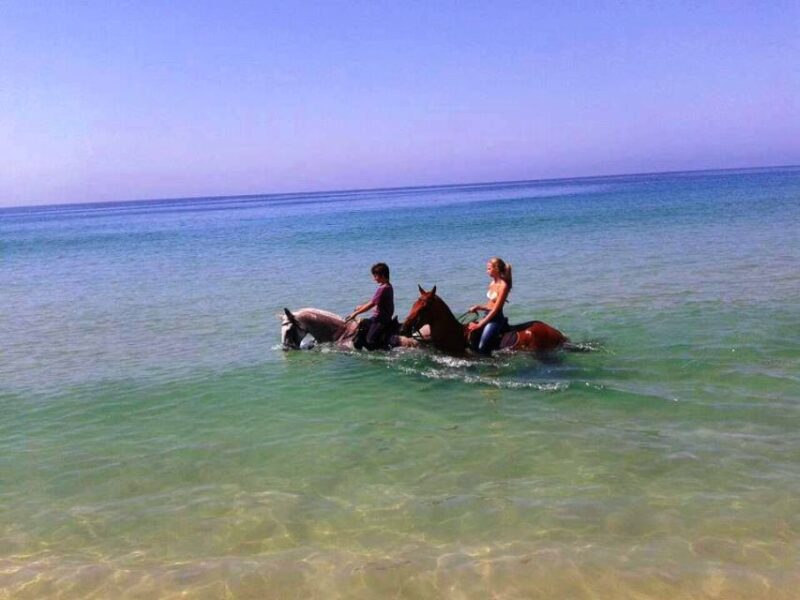 Horse Riding on the Beach With Private Transfer From Lisbon - Pickup and Dropoff
