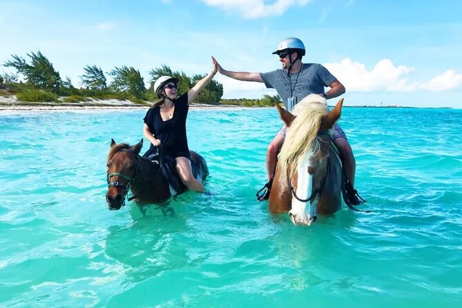Horse Riding on the Beach With Transfer From Sharm El Sheikh - Inclusions