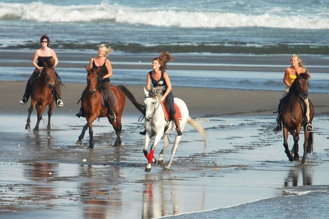 Horse Riding on the Black Sand Beach and Free Hotel Transfers - Pickup Information