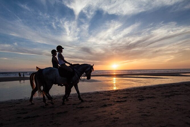 Horse Riding on the Black Sand Beach and Free Hotel Transfers - Health and Safety Guidelines