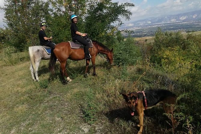 Horse Riding on Vesuvius - Exploring Vesuvius National Park