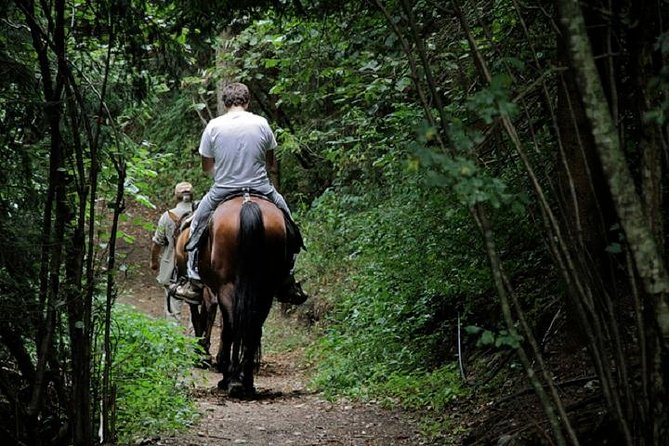 Horse Riding Small Group Near Lucca - Health and Safety Requirements