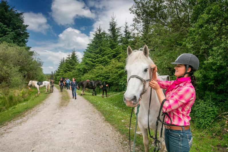 Horse Riding the Dirt Trail. Clare. Guided. 1 Hour - Key Points