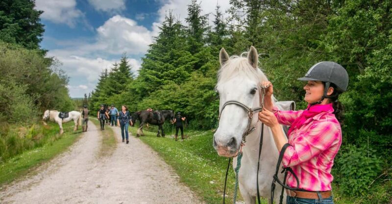 Horse Riding the Dirt Trail. Clare. Guided. 1 Hour - Experience Highlights