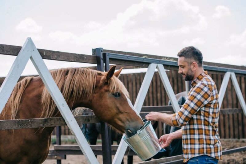 Horse Riding Through the Valleys + Lunch - Key Points