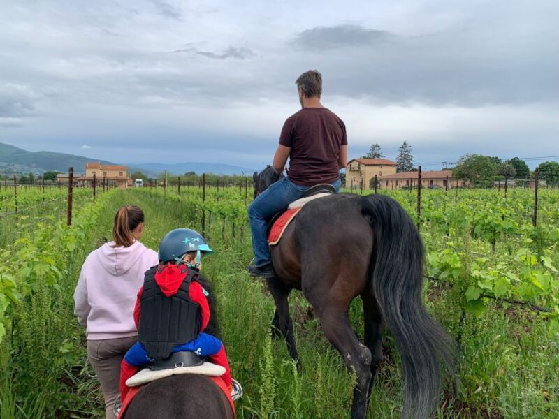 Horse Riding Through the Valleys + Lunch - Experience Requirements