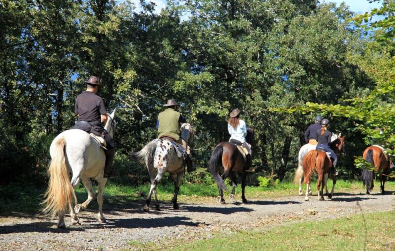 Horse Riding Through the Valleys + Lunch - Booking Information