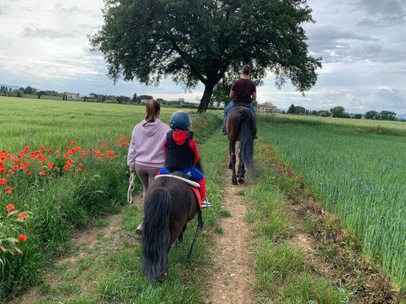 Horse Riding Through the Valleys + Lunch - Starting Times