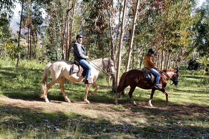 Horse Riding to the Temple of the Moon + Guided Visit to Sacsayhuaman - Cusco - Riding Through Eucalyptus Forest