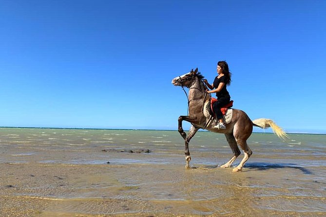 Horse Riding Tour 2 Hours Sea and Desert With Transfer - Hurghada - Additional Charges