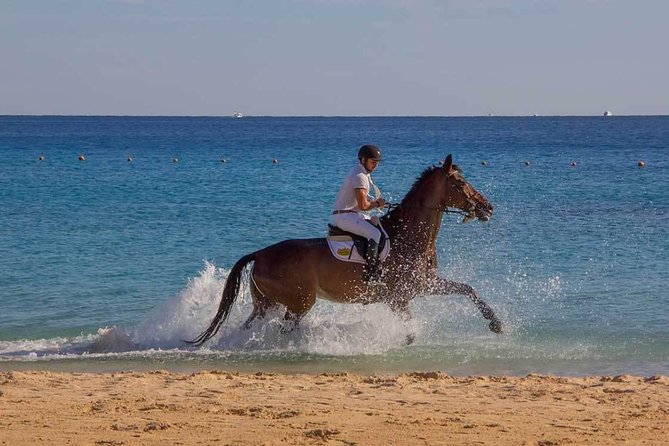 Horse Riding Tour 2 Hours Sea and Desert With Transfer - Hurghada - Tour Accessibility