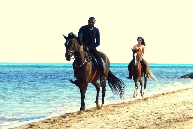 Horse Riding Tour 2 Hours Sea and Desert With Transfer - Hurghada - Traveler Information