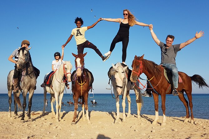 Horse Riding Tour 2 Hours Sea and Desert With Transfer - Hurghada - Group Size and Pricing
