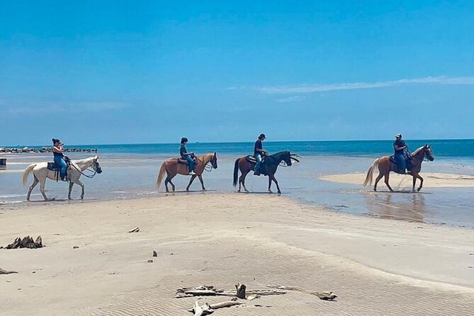 Horse Riding Tour at the Beach in Miami - Meeting and Pickup
