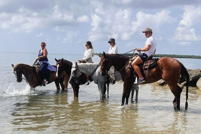 Horse Riding Tour at the Beach in Miami - Safety Considerations