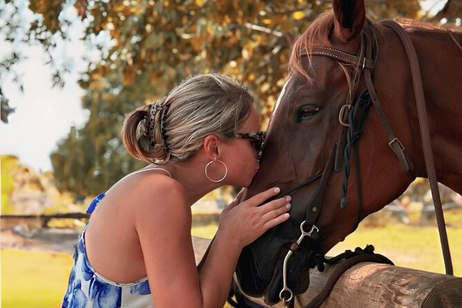 Horse Riding Tour at the Beach in Miami - Booking Details