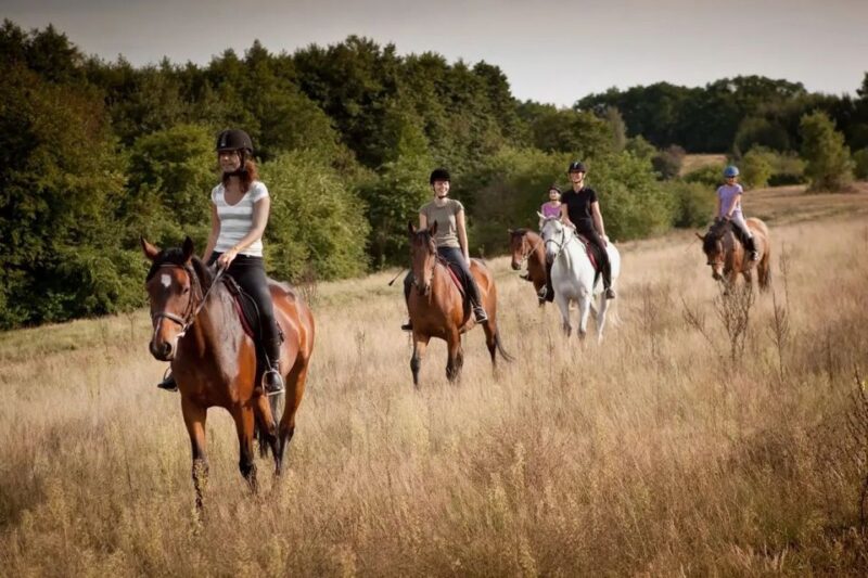 Horse Riding Tour in Alanya - Experience Highlights