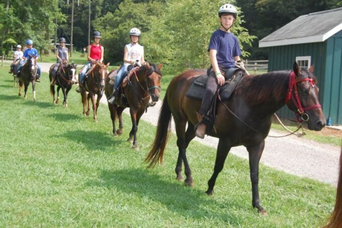 Horse Riding Tour in Alanya - Customer Reviews