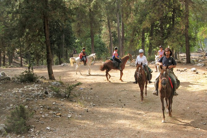 Horse Riding Tour in Bodrum With Hotel Pick up - Booking Information