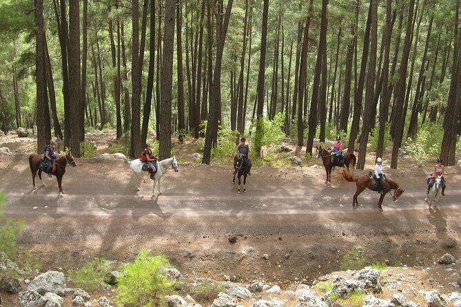 Horse Riding Tour in Bodrum With Hotel Pick up - Tour Itinerary