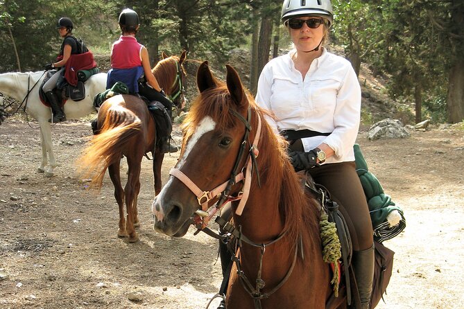 Horse Riding Tour in Bodrum With Hotel Pick up - Frequently Asked Questions