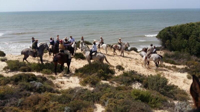 Horse-Riding Tour in Doñana National Park - Key Points