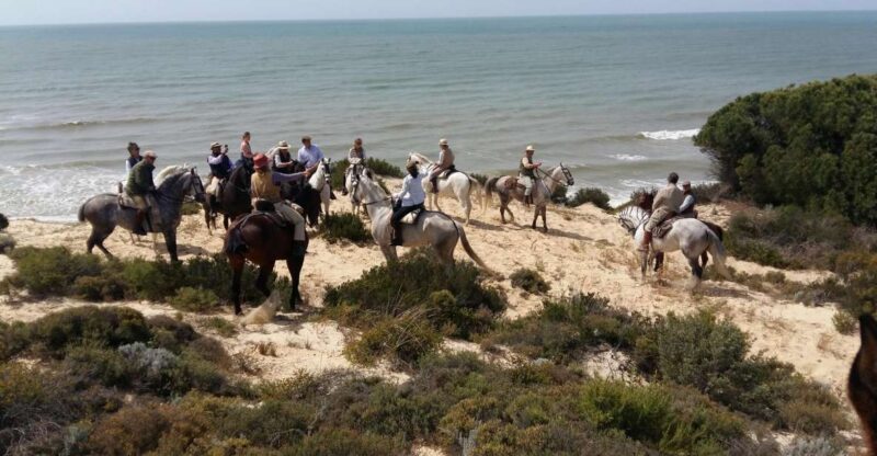 Horse-Riding Tour in Doñana National Park - Pricing Details