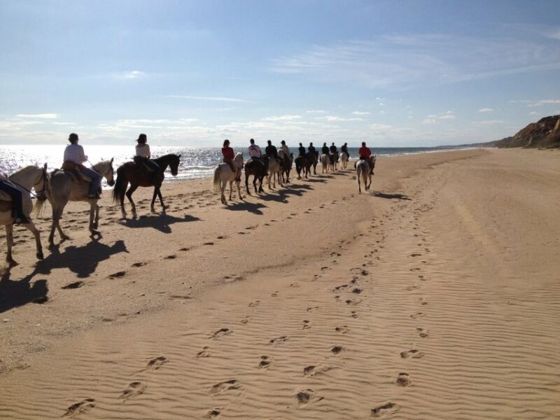 Horse-Riding Tour in Doñana National Park - Highlights of the Tour