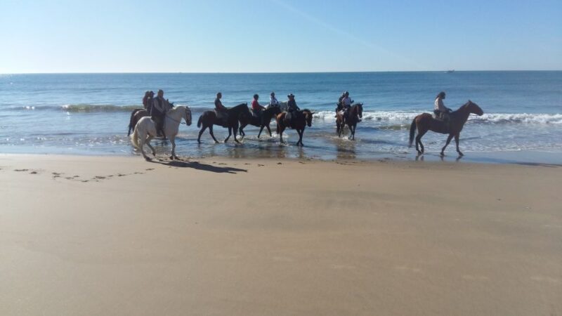 Horse-Riding Tour in Doñana National Park - Ecosystems Visited