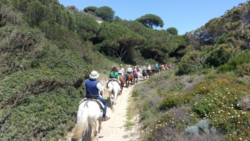 Horse-Riding Tour in Doñana National Park - Tour Inclusions and Meeting Point