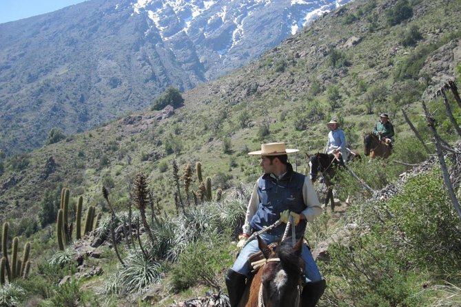 Horse Riding Tour in the Andes Santiago Chile - Horseback Riding Experience