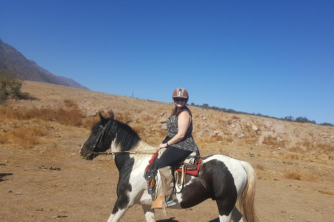 Horse Riding Tour in the Andes Santiago Chile - Guides and Expertise