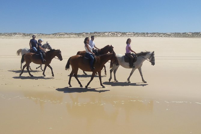 Horse Riding Tour on the Beach Lisbon Region - Booking Information