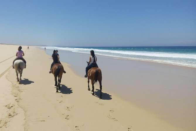Horse Riding Tour on the Beach Lisbon Region - Preparing for the Tour