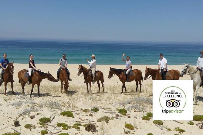 Horse Riding Tour on the Beach Lisbon Region - Connecting With Nature