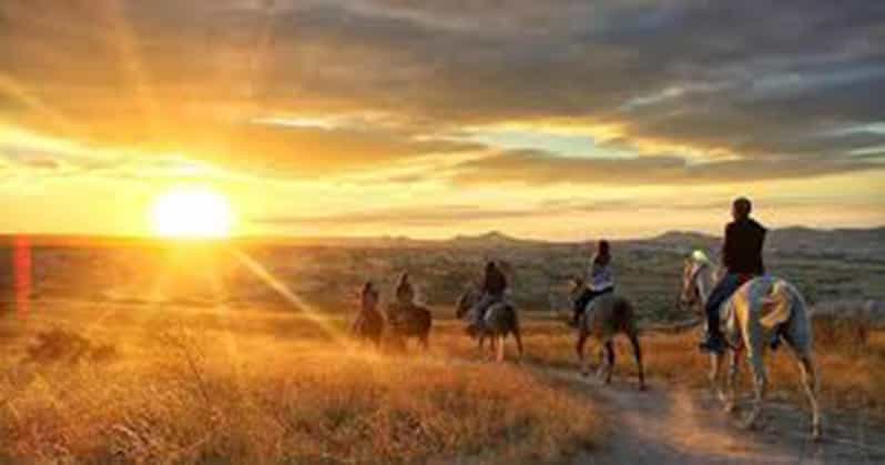 Horse Riding Tour - Booking and Cancellation
