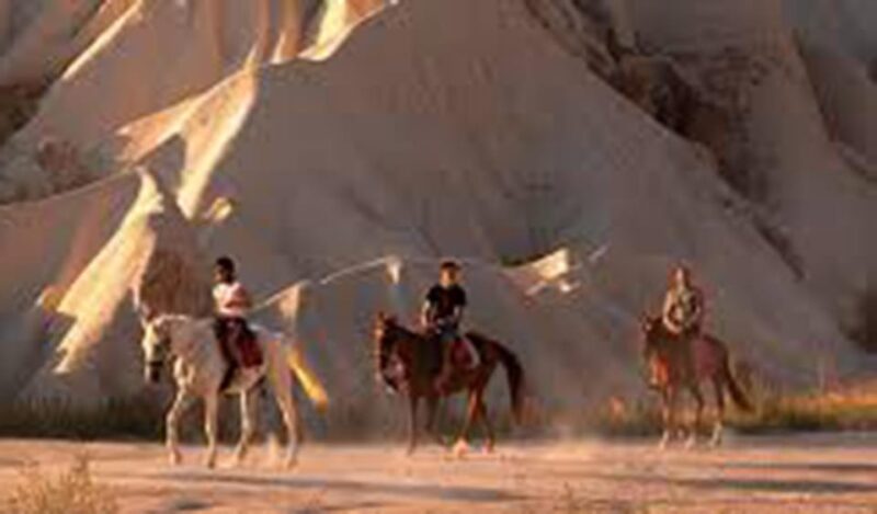 Horse Riding Tour - Transportation and Guides