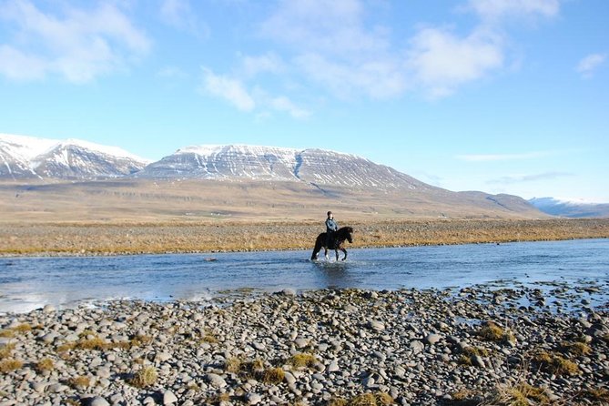 Horse Riding Tour to the Glacier River Delta With Waterfall - Included in the Experience