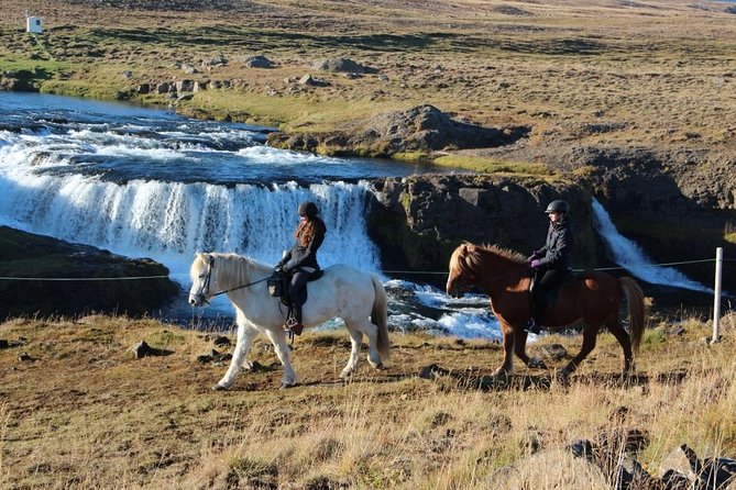 Horse Riding Tour to the Glacier River Delta With Waterfall - Rider Requirements and Restrictions