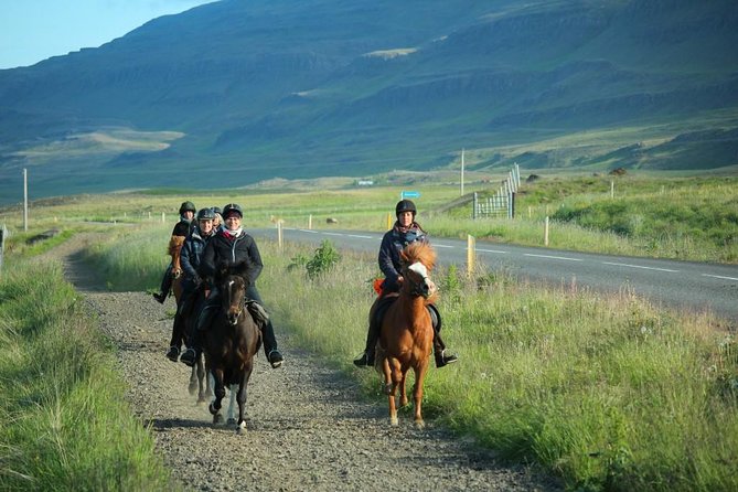 Horse Riding Tour to the Glacier River Delta With Waterfall - Highlights of the Itinerary