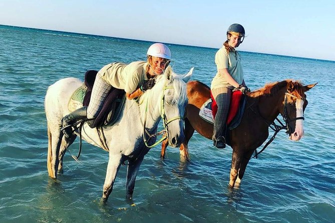 Horse Riding Tour Two Hours Sun & Sea With Transfer - Hurghada - Cancellation Policy