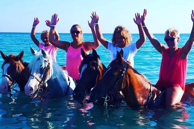 Horse Riding Tour Two Hours Sun & Sea With Transfer - Hurghada - Accessibility