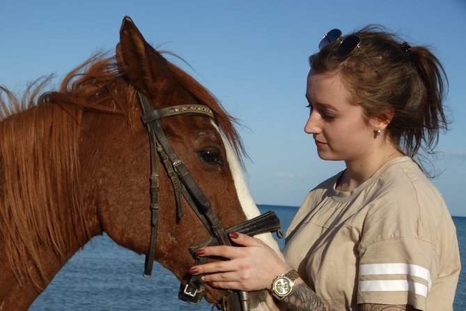 Horse Riding Tour Two Hours Sun & Sea With Transfer - Hurghada - Reviews