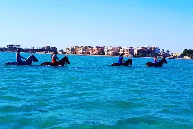 Horse Riding Tour Two Hours Sun & Sea With Transfer - Hurghada - Experience Highlights