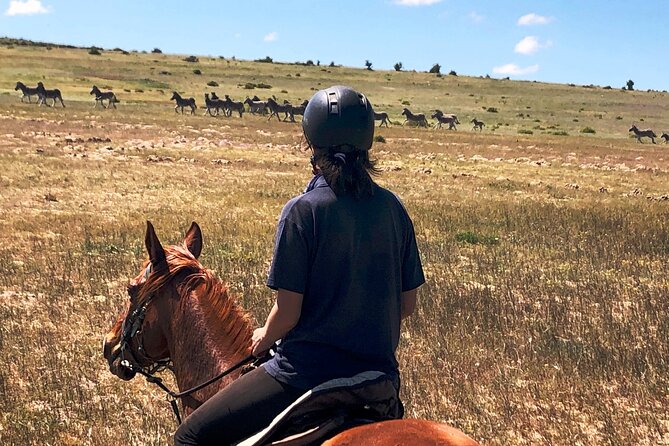 Horse Safari & Beach Ride Western Cape - Physical Fitness Requirements