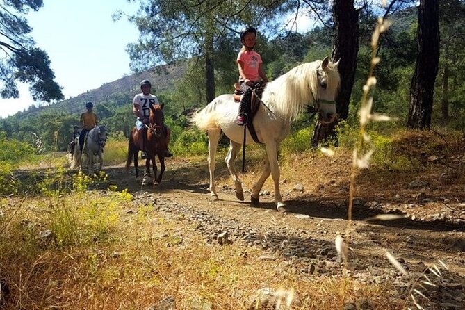 Horse Safari From Kemer - Pickup and Transportation