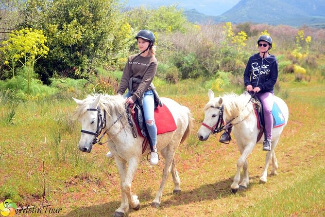 Horse Safari From Kusadasi - Reviews and Ratings