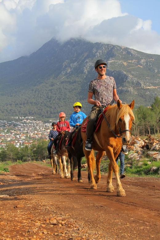 Horse Safari - Inclusions and Transportation